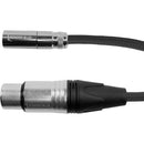 Kondor Blue Mini-XLR Male to XLR Female Audio Cable for Canon C70 & BMPCC 6K/4K (Red, 16")