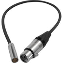Kondor Blue Mini-XLR Male to XLR Female Audio Cable for Canon C70 & BMPCC 6K/4K (Red, 16")