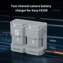 ZGCINE PC2-FZ100 Travel Charging Case for NP-FZ100 Battery (Gray)