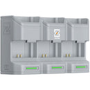 ZGCINE PC3-FZ100 Travel Charging Case for NP-FZ100 Battery (Gray)