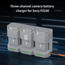ZGCINE PC3-FZ100 Travel Charging Case for NP-FZ100 Battery (Gray)