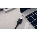 Moshi Mythro C USB-C Earbuds (Gunmetal Gray)