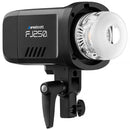 Westcott FJ250 250Ws Touchscreen Strobe with FJ-X3 S Trigger for Sony (1-Light Backpack Kit)