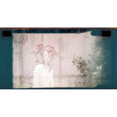 Lomography LomoChrome Color '92 Sun-Kissed Color Negative Film (110 Cartridge, 24 Exposures, 3-Pack)