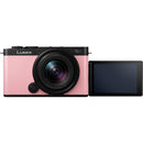 Panasonic LUMIX S9 Camera with 18-40mm Lens (Pink)