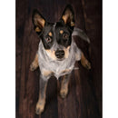 Kate Backdrop Retro Brown Wood Rubber Floor Mat (5 x 4')