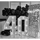 Kate Backdrop Shimmer Wall Backdrop (Silver, 6 x 4')