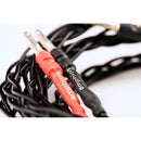Amphion Speaker Cable with Banana Plugs (11.48')