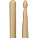 Promark Forward 5A Hickory Wood-Tip Drumsticks (4 Pairs)