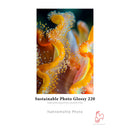 Hahnemuhle Sustainable Photo Glossy 220 Paper (13 x 19", 25 Sheets)