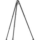 YC Onion Pineta Lite Carbon Fiber Tripod with Heavy-Duty Rubber Feet