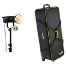 Nanlite FS-300C RGB LED Monolight (Travel 2-Light Kit)