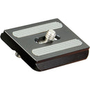 Oben BHC-20 Two-Way Ball Head with QR Plate