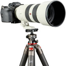 Oben BHC-20 Two-Way Ball Head with QR Plate