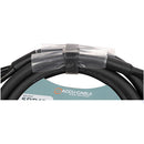 American DJ Accu-Cable 5-Pin DMX / True 1-Style Power Data Combo Cable (12')