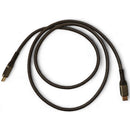 Pegasus Astro 100W USB-C Cable (3.3')