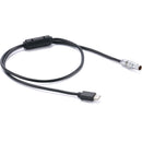 Tilta 7-Pin to USB-C Control Cable for Nucleus-M II (19.7")