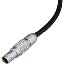Watson Pro D-Tap to LEMO-Type 2-Pin 0B Male Power Cable (24")