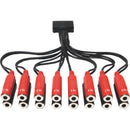 marian DIGITAL AUDIO ELECTRONICS DB25 to Female TRS 8x8 Snake Cable for Clara A and A/D