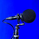 Bubblebee Industries The Spacer Ball Microphone Wind Screen (100mm, Small)