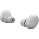 Sony WF-1000XM6 True Wireless Noise-Canceling Earbuds (Platinum Silver)