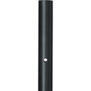 JBL BAGS Standard Aluminum Speaker Stand
