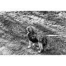 Ultrafine Xtreme UXF 400 Black and White Negative Film (35mm Roll Film, 100' Roll)