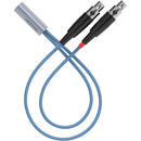 Dekoni Audio Ensemble Nylon Jacket 1/8" to Dual 4-Pin Mini XLR Connector Modular Cable System (52")