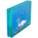 Canetti Design Group Color Edge Magnet Frame (Aqua/Green, 5 x 7")