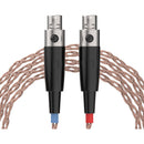 Dekoni Audio Ensemble PCUHD Copper Twist Jacket 4-Pin XLR to Dual 4-Pin Mini XLR Connector Modular Cable System (52")