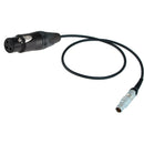 Cable Techniques XLR-3F Female to Lemo 6-Pin Cable (15")