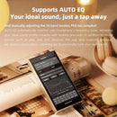 FiiO M33 R2R Portable Hi-Res Lossless Music Player (Black)