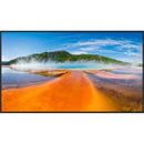 Sharp PN-E659 65" UHD 4K Commercial Monitor