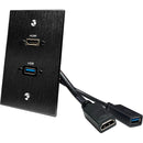 Comprehensive HDMI 2.0 and USB-A 3.0 Pass-Through Wall Plate with Pigtail (Black)