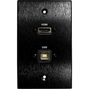 Comprehensive HDMI and USB-B Pass-Through Wall Plate with Pigtail (Black)