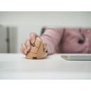 X9 Performance Wireless Vertical Ergonomic Mouse (Brown with Capybara Figure)