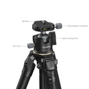 SmallRig BH265 Portable Carbon Fiber Travel Tripod