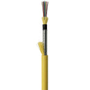 nanoFIBER 24-Strand Composite Stainless Steel Armored I/O Water Blocking OFCP Plenum Fiber (250')