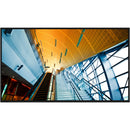 Sharp PN-P436 43" UHD 4K HDR Commercial Monitor