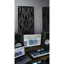 Auralex Fusion Rain Acoustical Tuning Faceplate (Black, 24 x 48")
