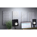 Auralex Fusion Reflection Acoustical Tuning Faceplate (White, 24 x 48")