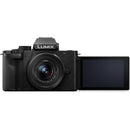 Panasonic LUMIX G100D Mirrorless Camera with 12-32mm Lens