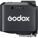 Godox iT30Pro L TTL Mini Flash for Leica (Black)