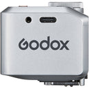 Godox iT30Pro L TTL Mini Flash for Leica (Silver)