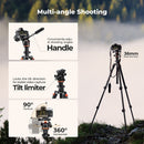 K&F Concept O234A3 Aluminum Tripod with BH-36 Ball Head
