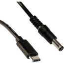 Pegasus Astro 2.1mm Male to USB-C Cable (11.8")