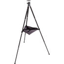 ProMaster iota 422 Ultralightweight  Carbon Fiber Tabletop Tripod with Ball Head