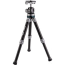ProMaster iota 219 Ultralightweight  Carbon Fiber Tabletop Tripod with Ball Head