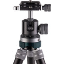 ProMaster iota 219 Ultralightweight  Carbon Fiber Tabletop Tripod with Ball Head