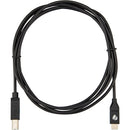 Pearstone USB-C to USB-B 2.0 Cable (6.6')